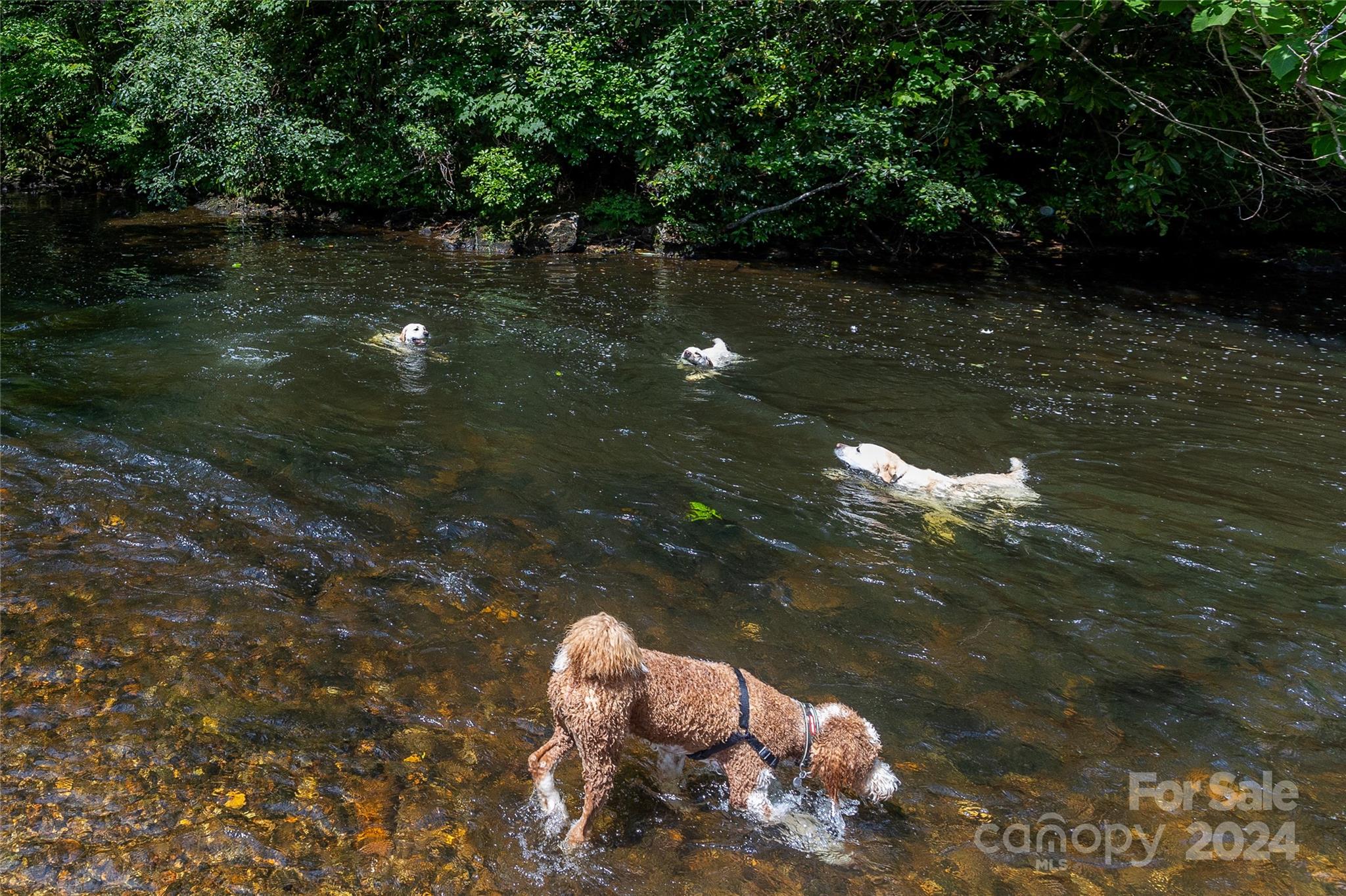 99 River Park Villas Drive