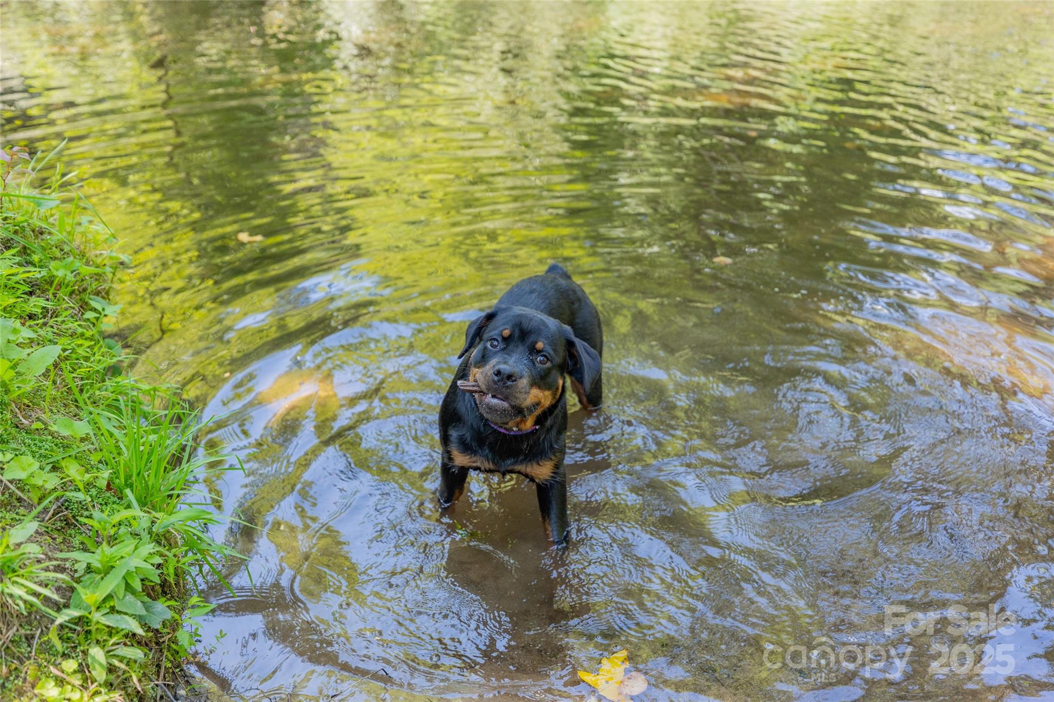 3095 Silversteen Road