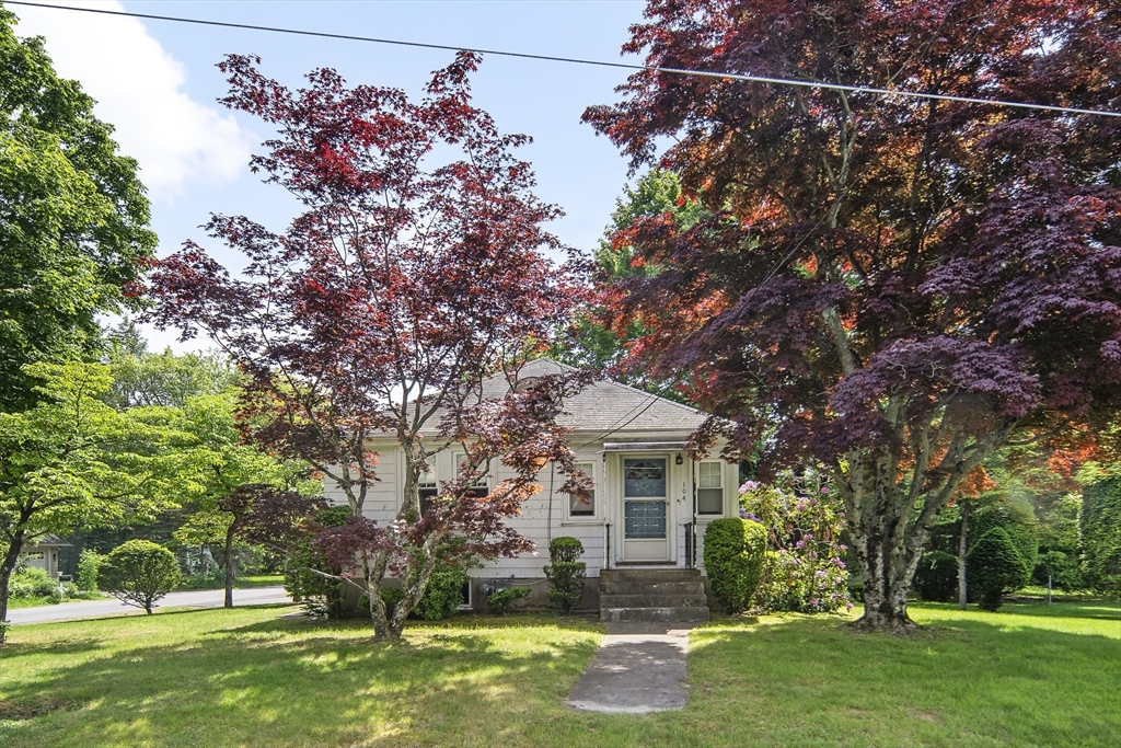 104 Reed St