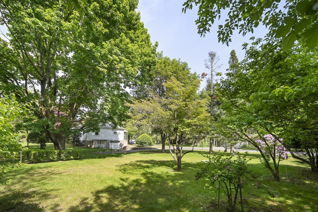 104 Reed St