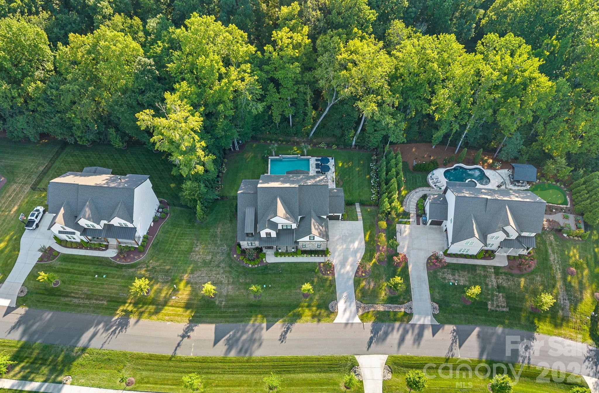 13105 White Spruce Court