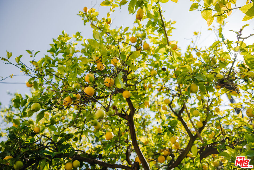 2610 Mandeville Canyon Rd