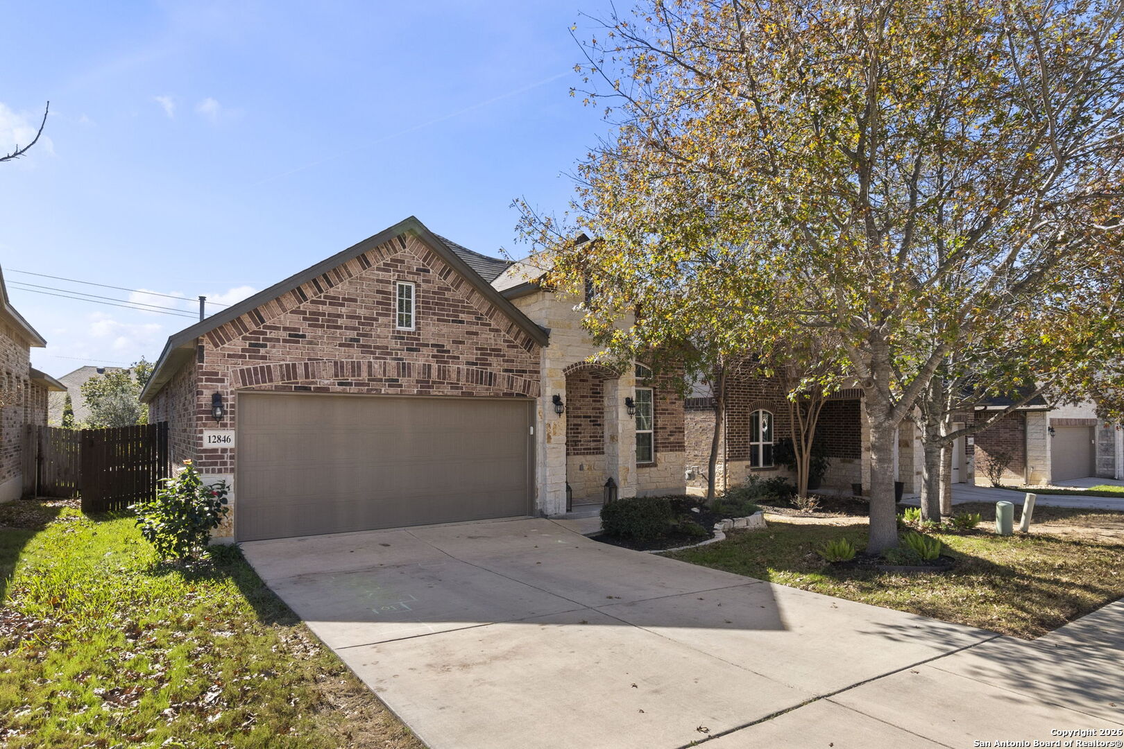 12846 Lone Star Leaf