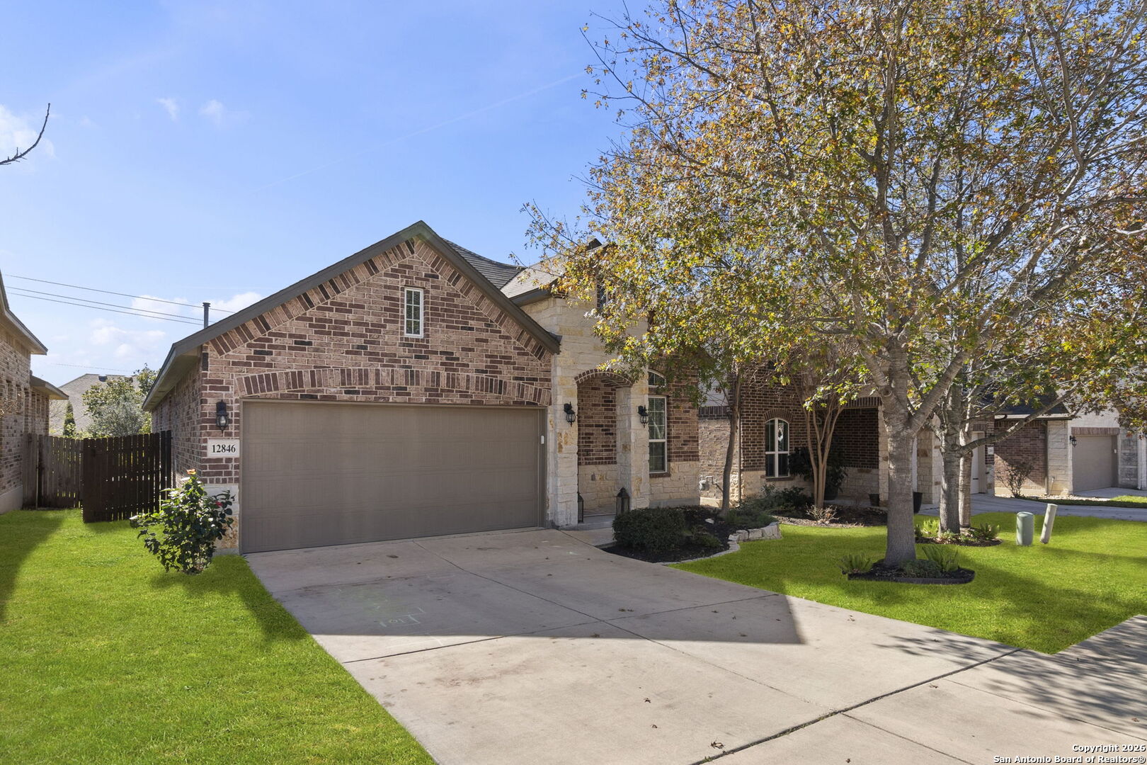 12846 Lone Star Leaf