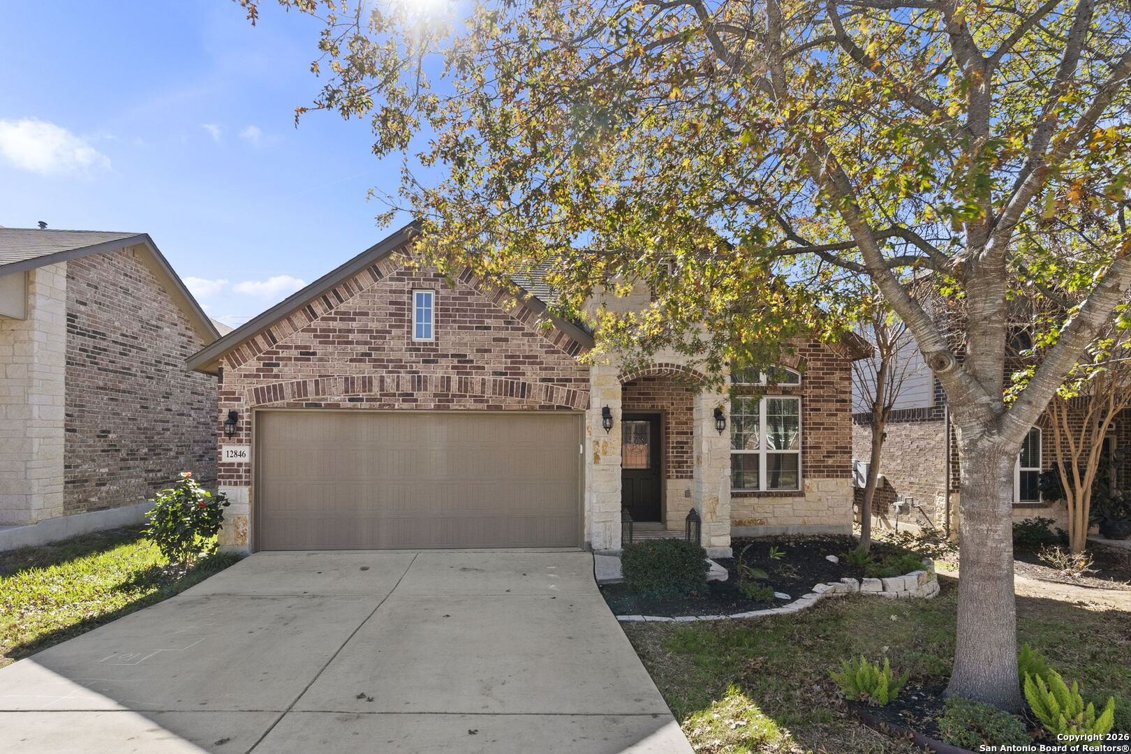 12846 Lone Star Leaf