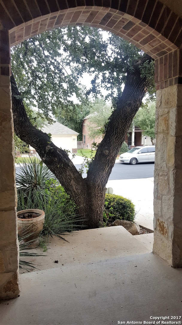 4426 James Bowie