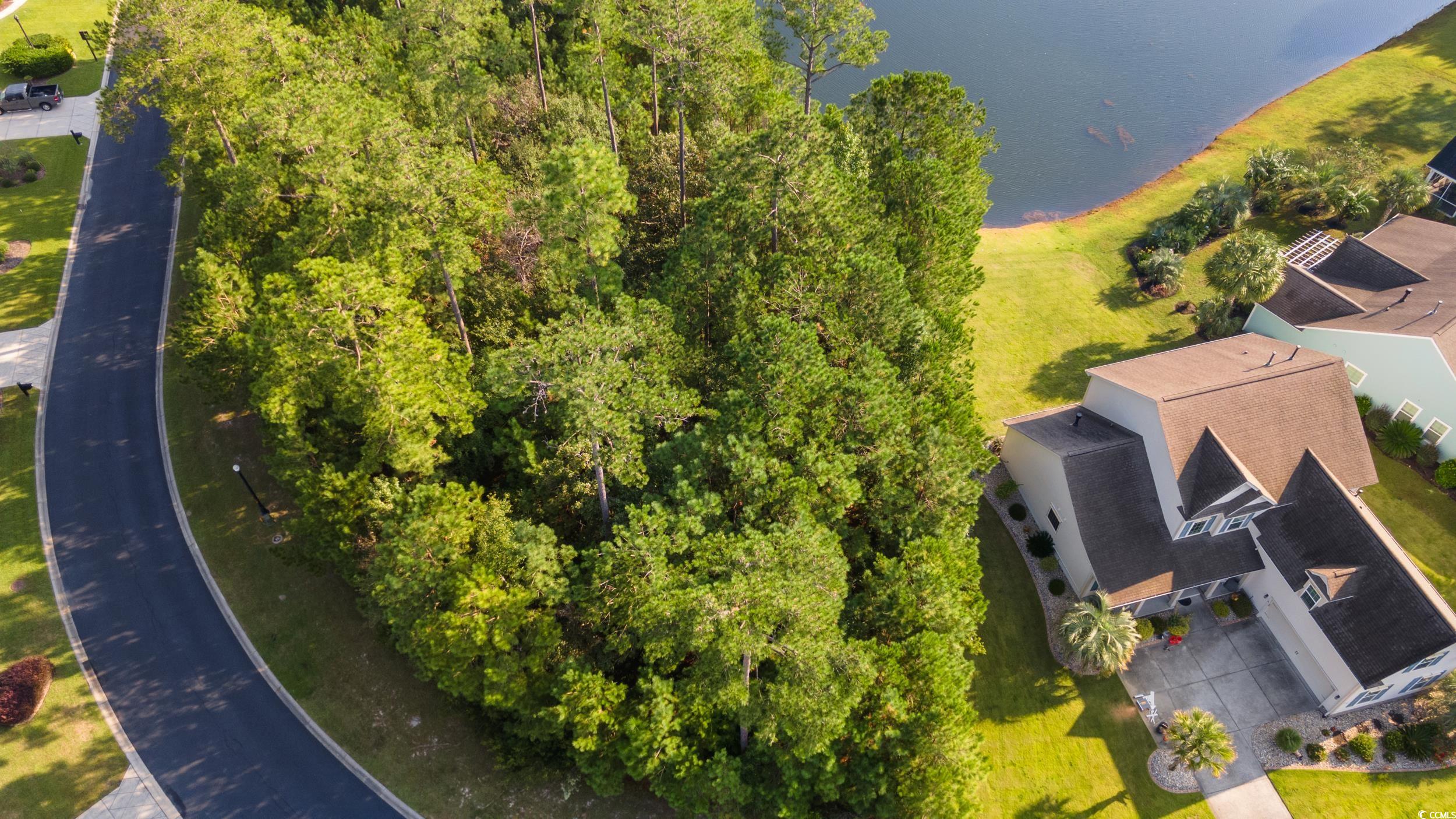 51 Summerlight Dr.
