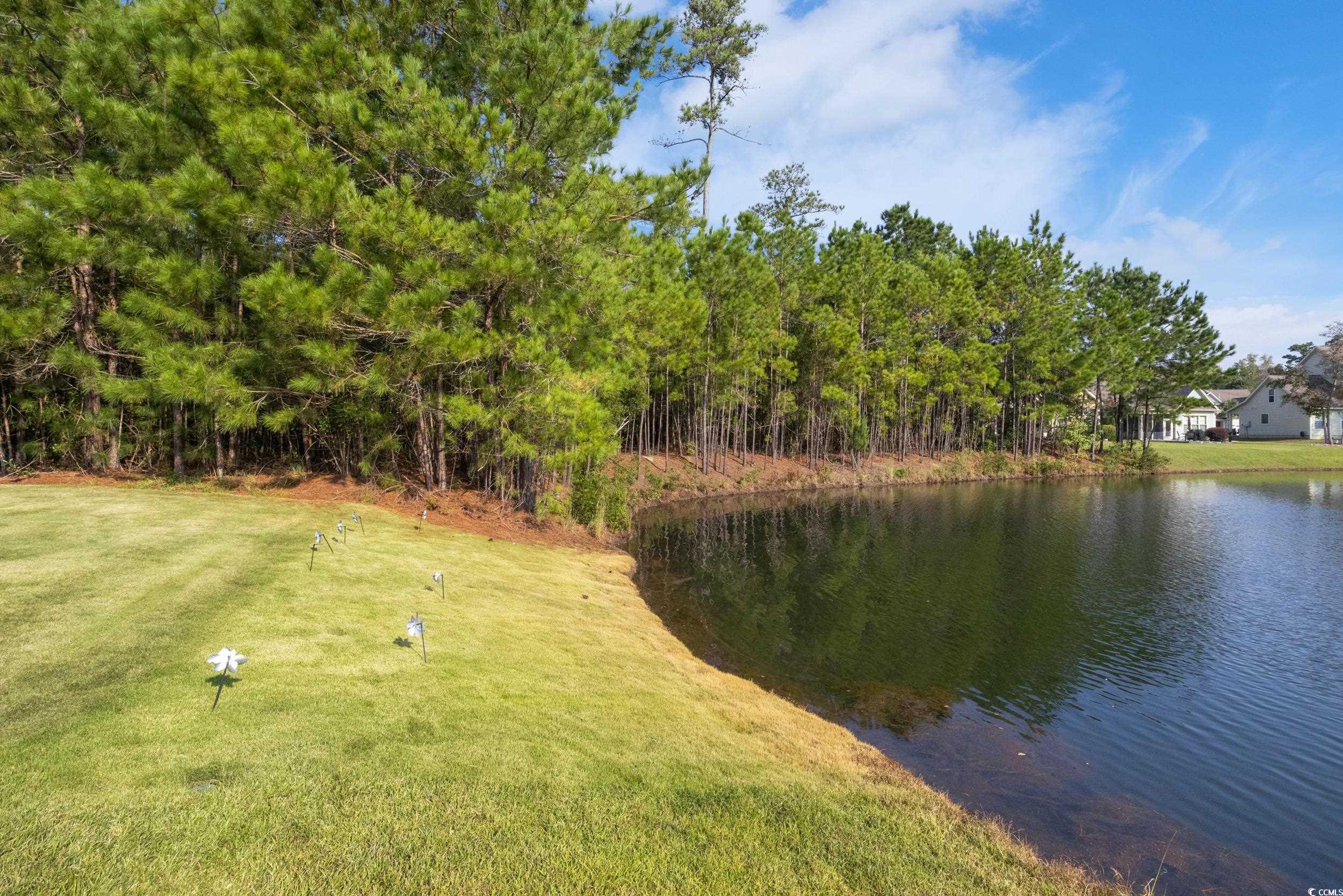 51 Summerlight Dr.