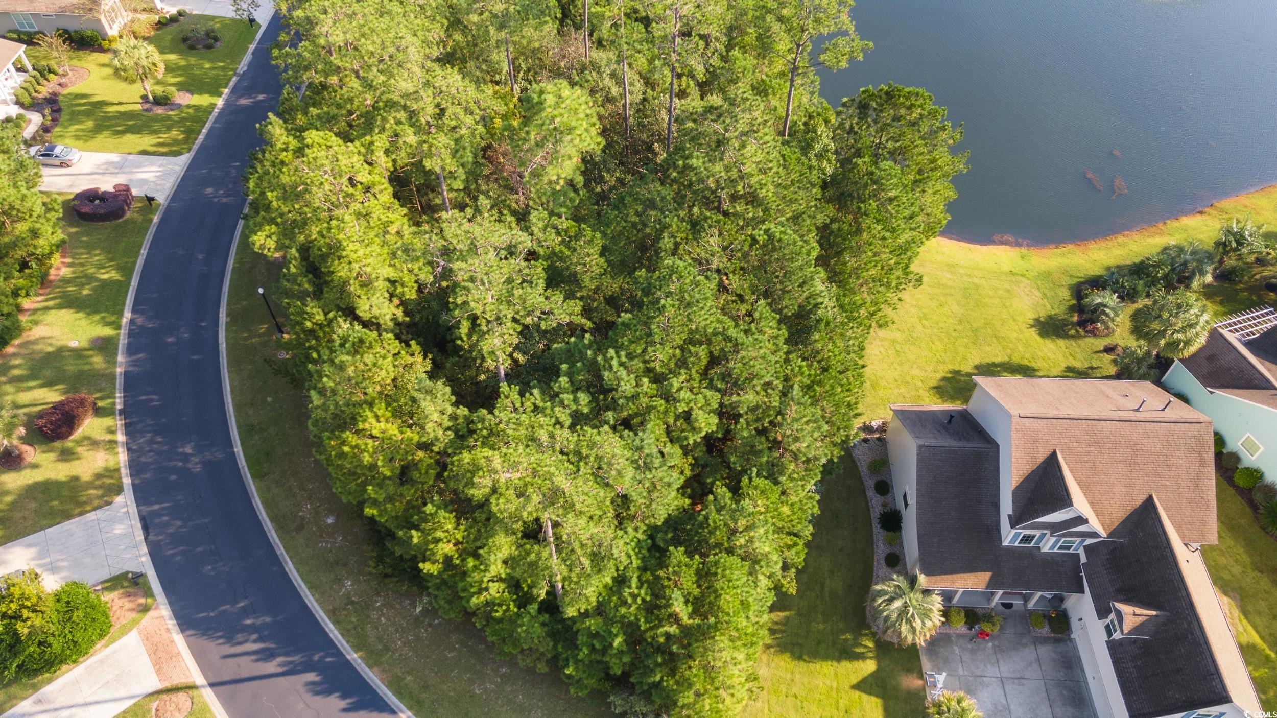51 Summerlight Dr.