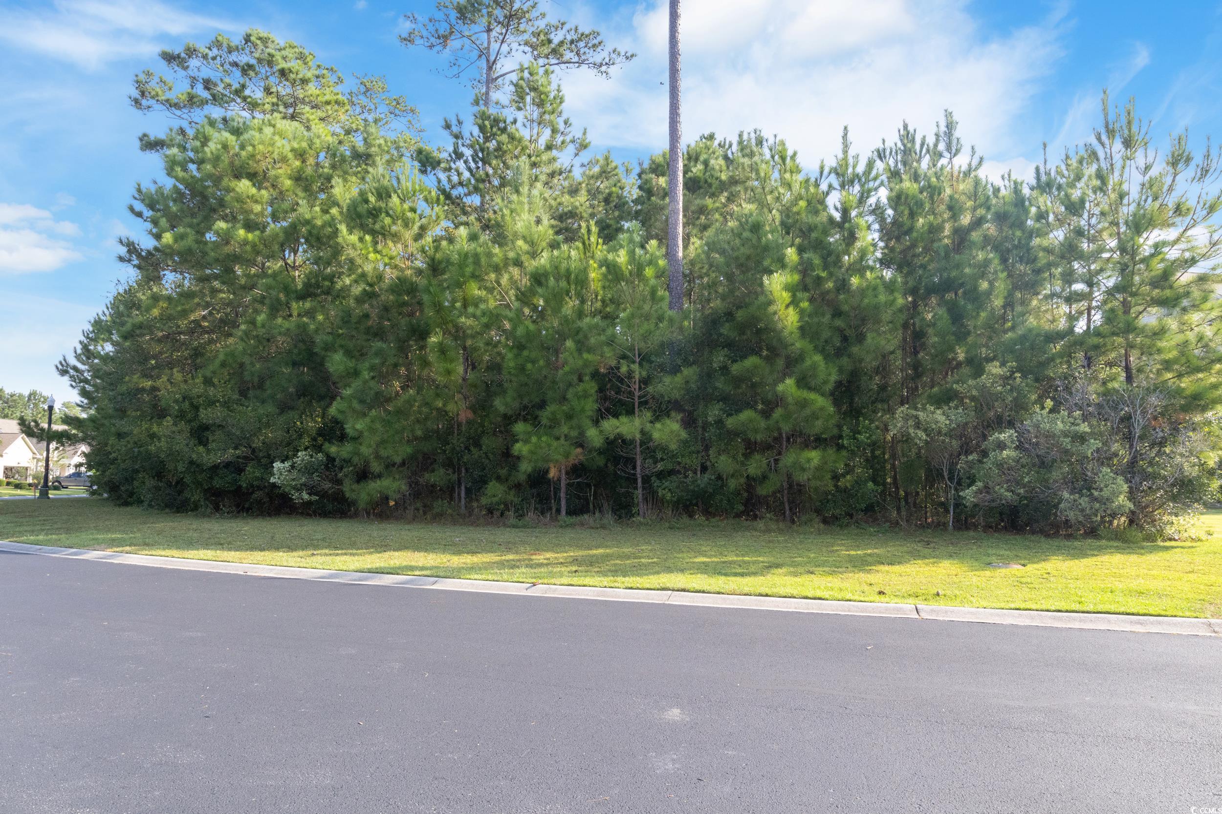 51 Summerlight Dr.