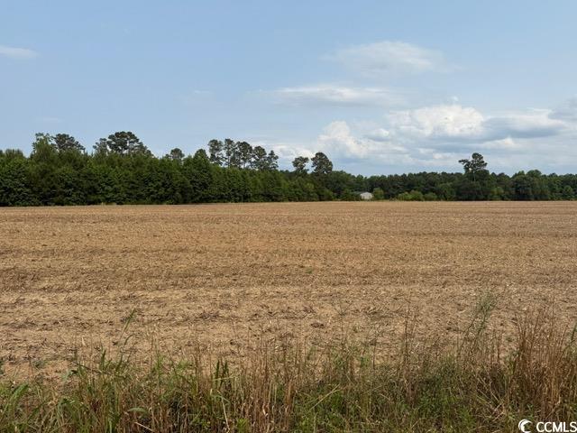 1776 Mack Rd.