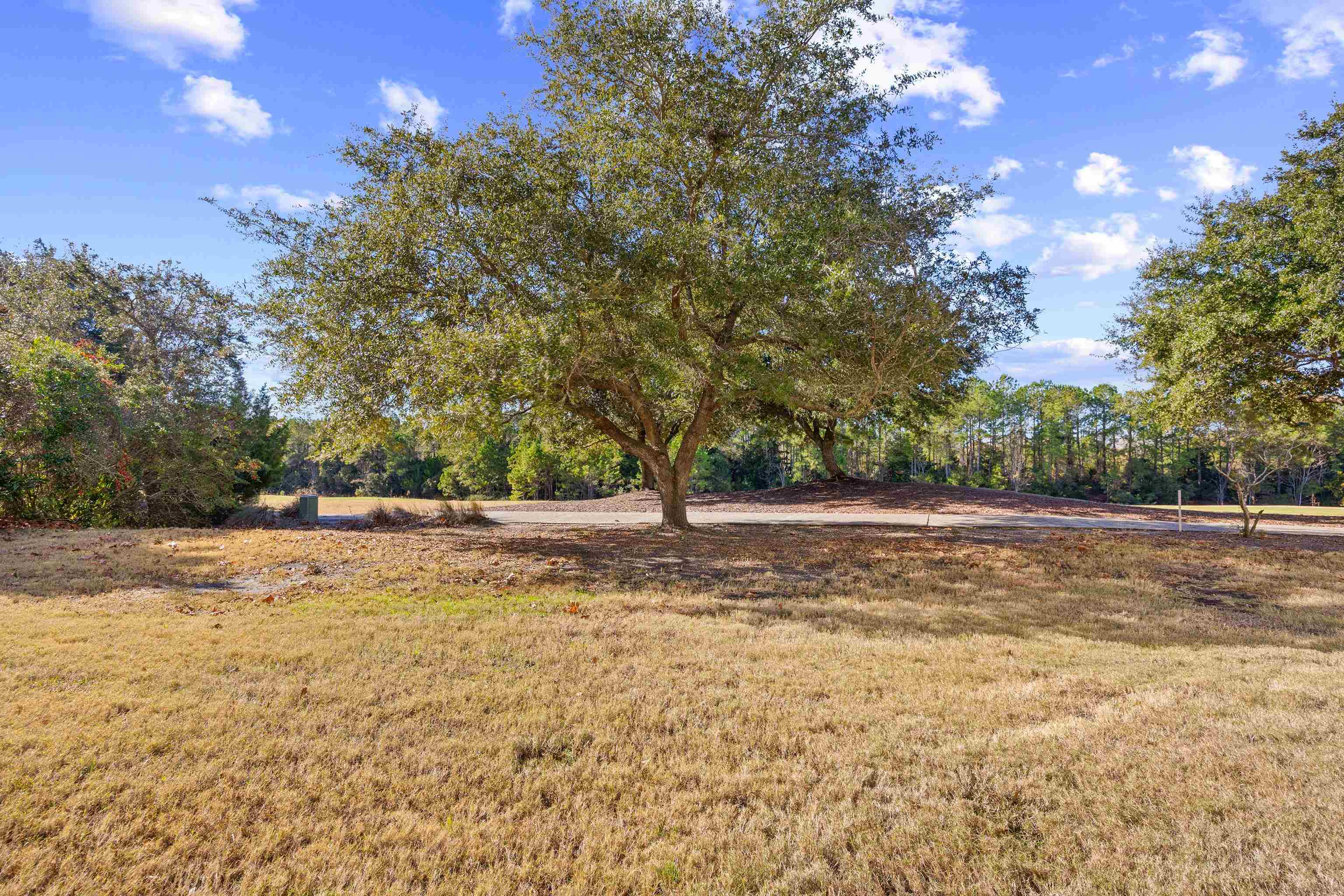 6203 Catalina Dr. Unit: 1512