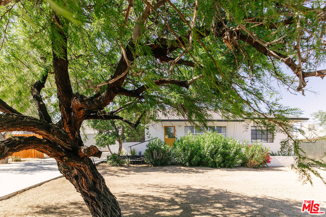 Single-story white house shaded by a sprawling tree, with dense shrubs along the front.