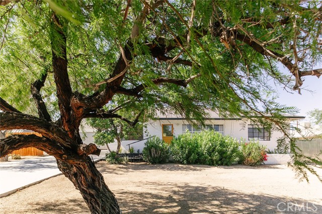 Single-story house partly screened by a large tree, with front shrubs and a dry yard.