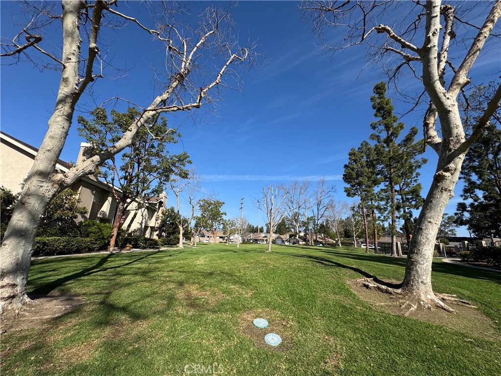 18 Snapdragon 11