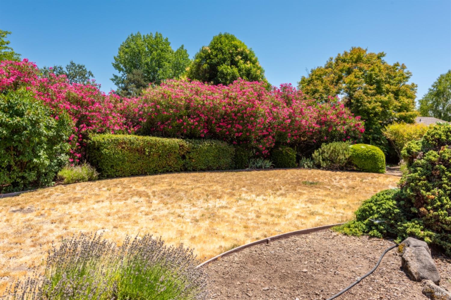 194 Mountain Vista Pl