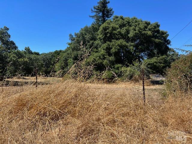 1090-97 Bloomfield Rd