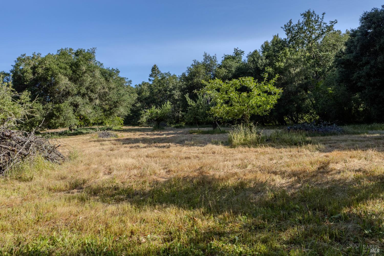 5957 Anderson Rd
