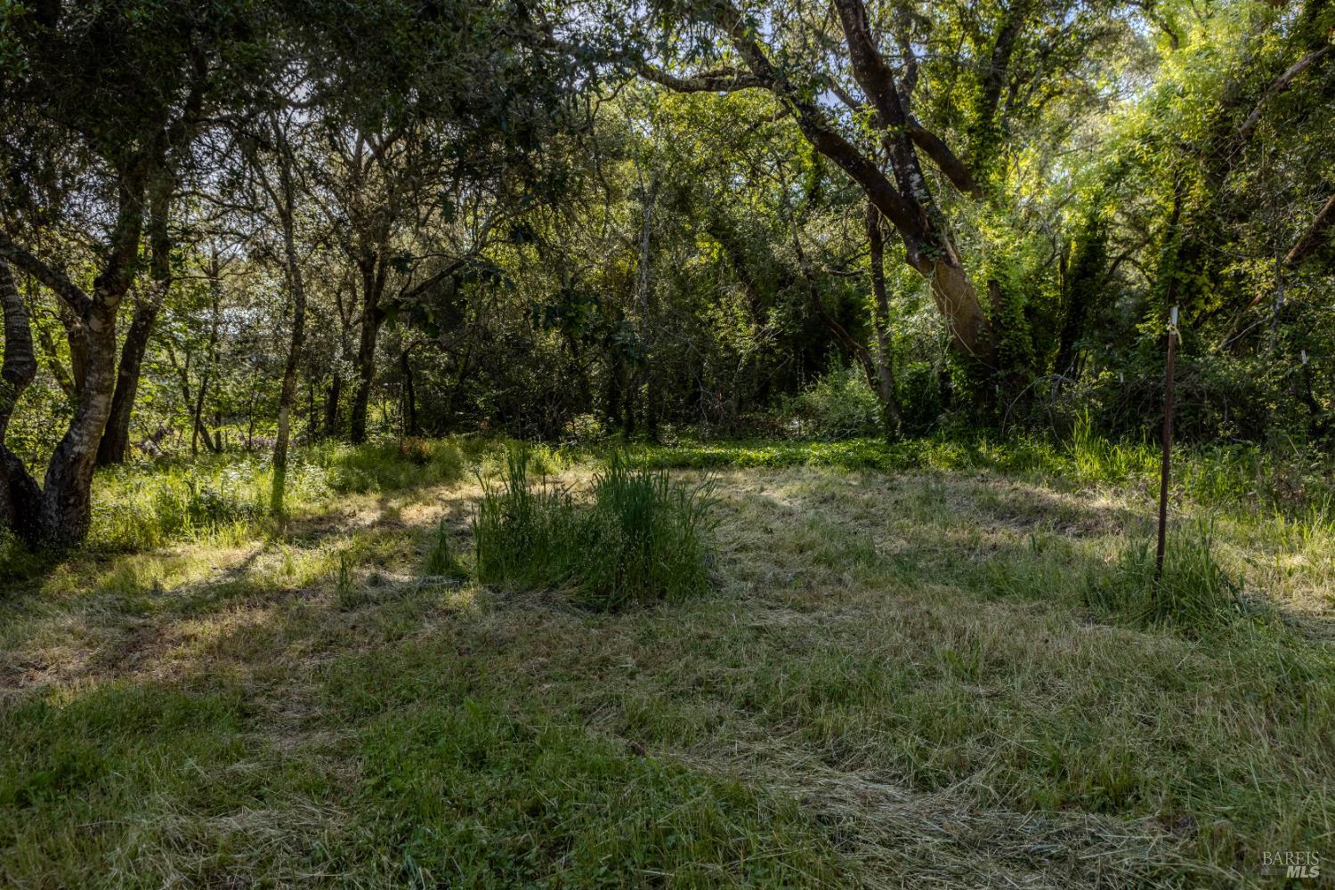 5957 Anderson Rd