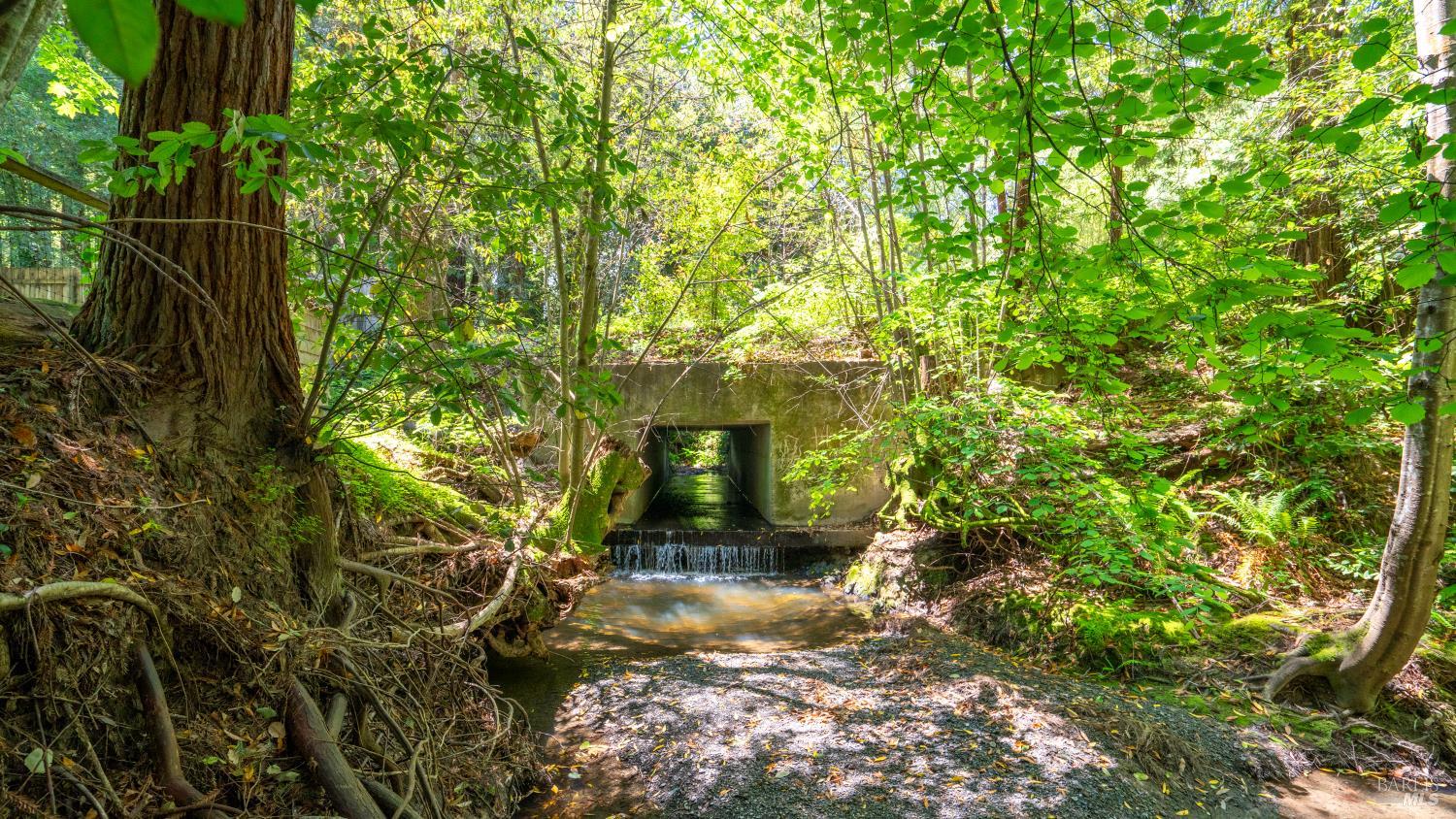 189 Wagnon Rd