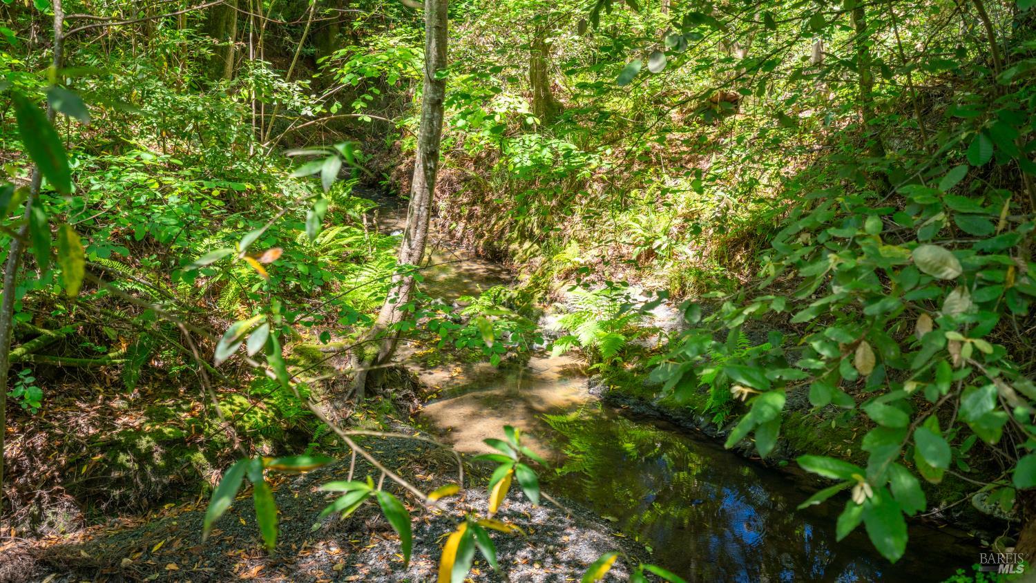 189 Wagnon Rd