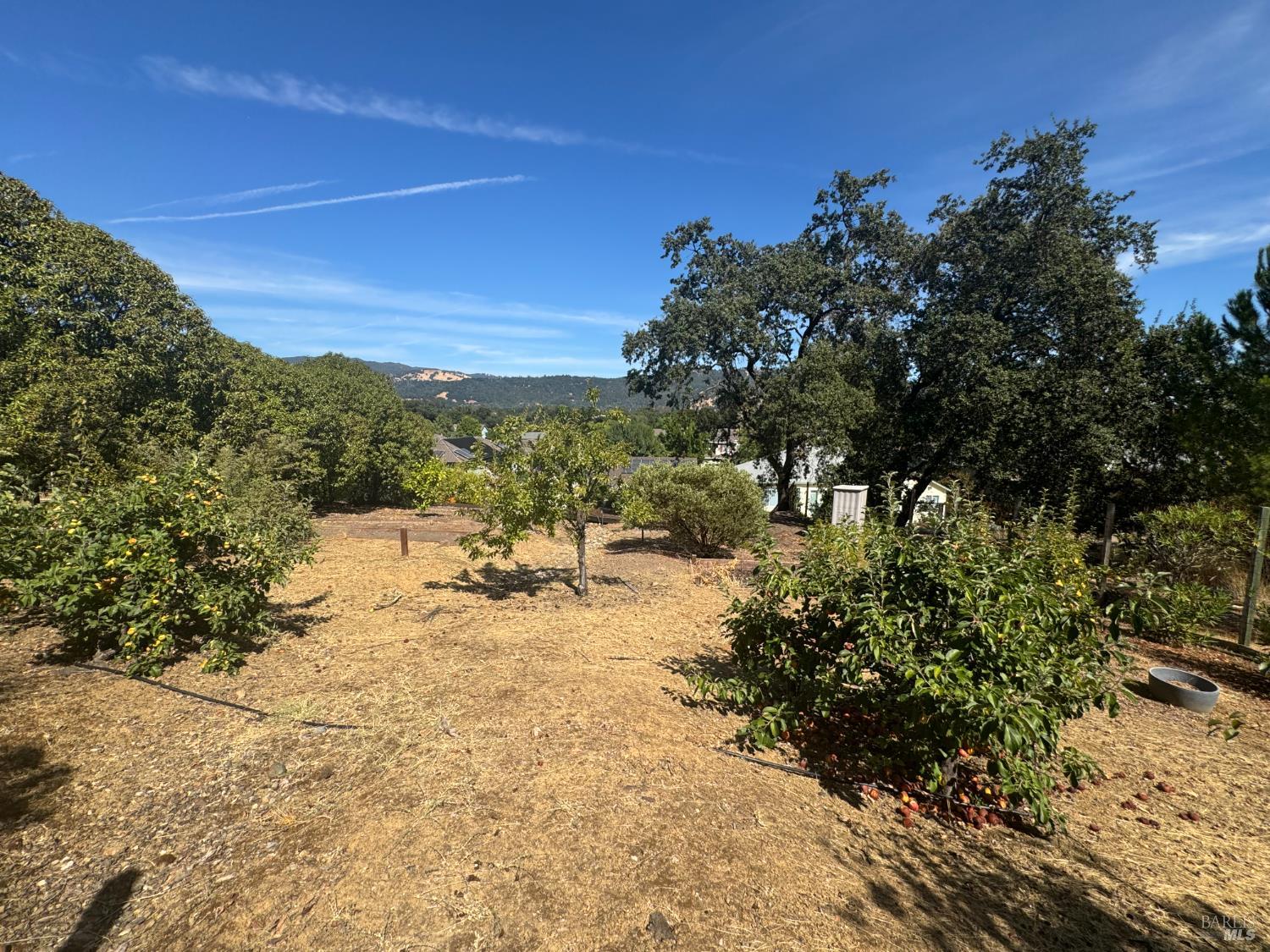 107 St Michael Court