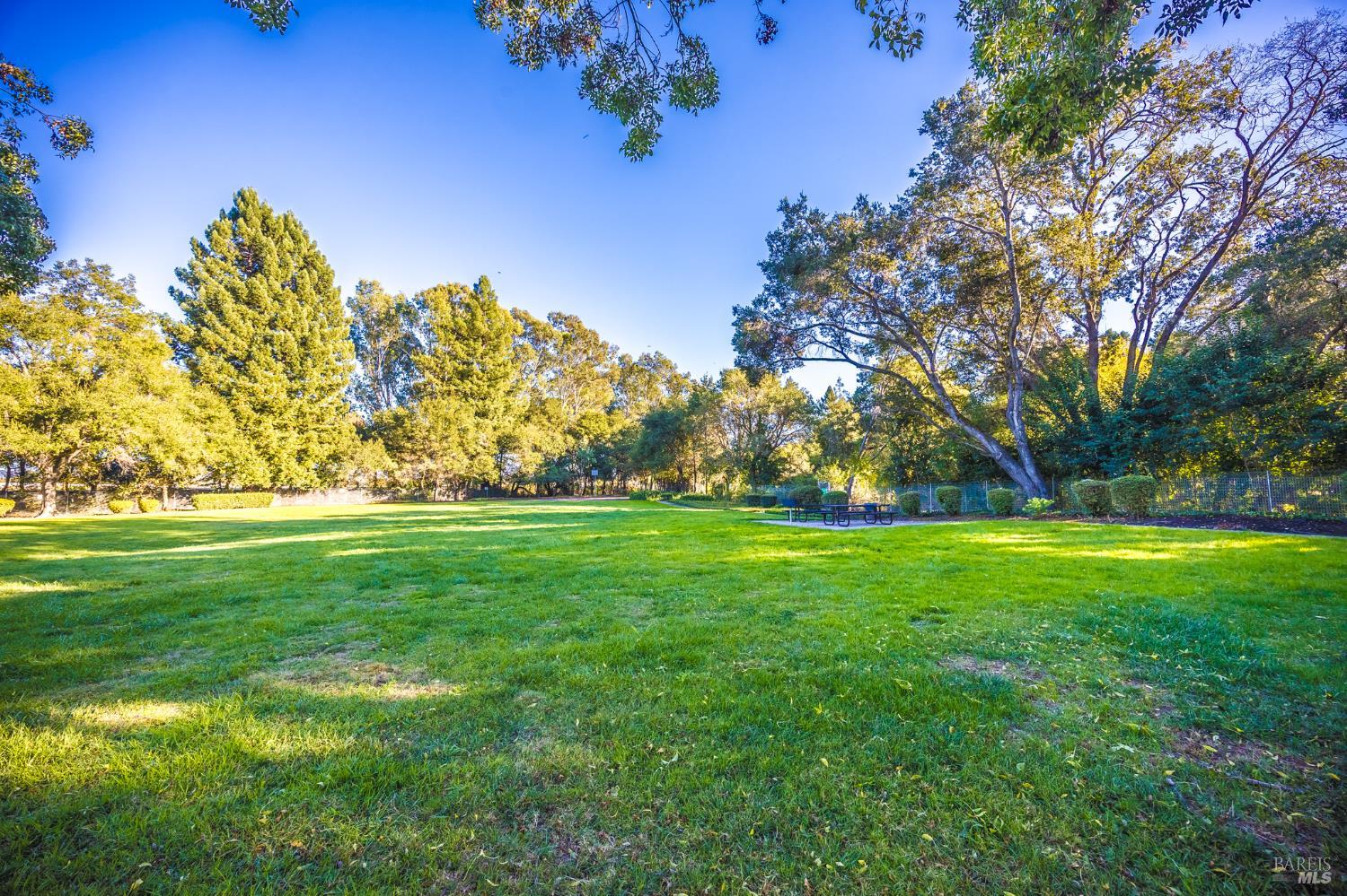 2291 Truckee Dr