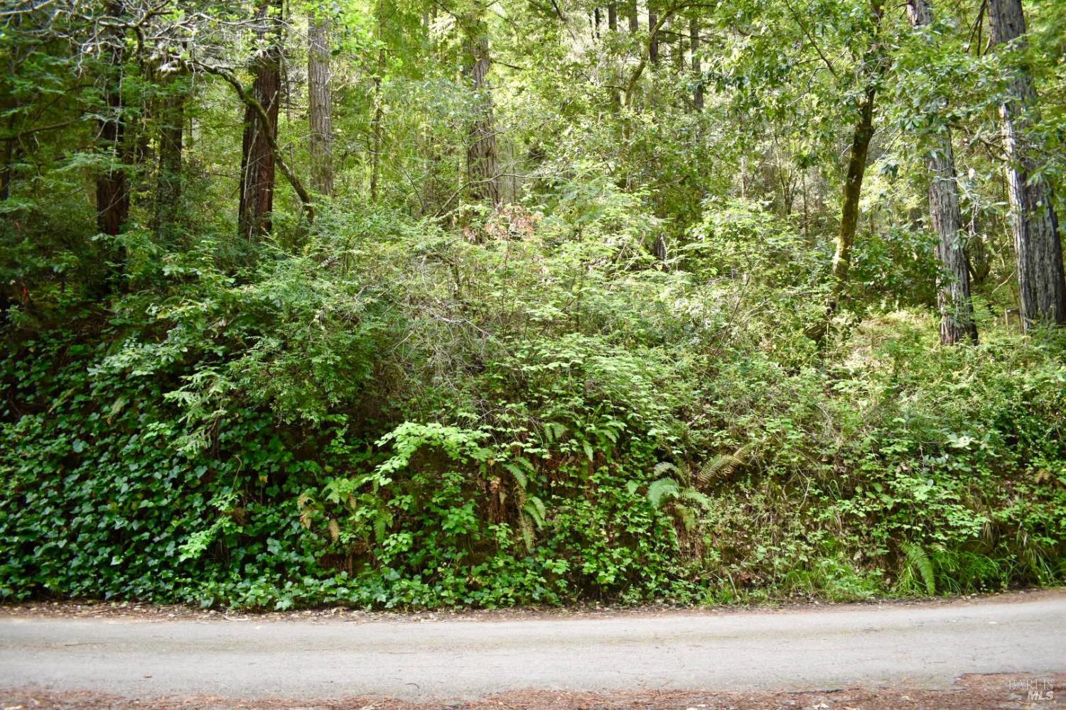 0 Old Monte Rio Road