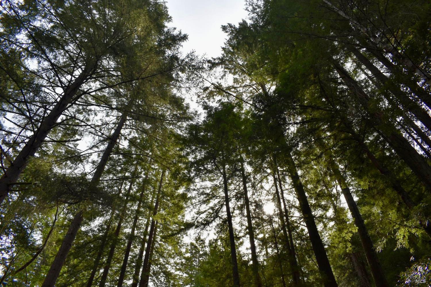 0 Old Monte Rio Road