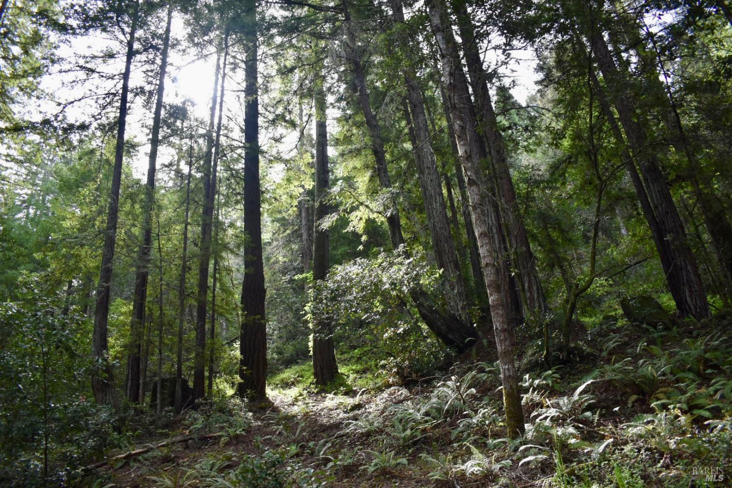 0 Old Monte Rio Road