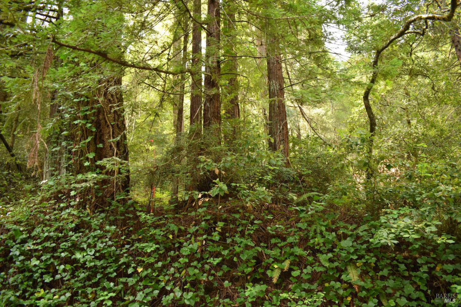 0 Old Monte Rio Road