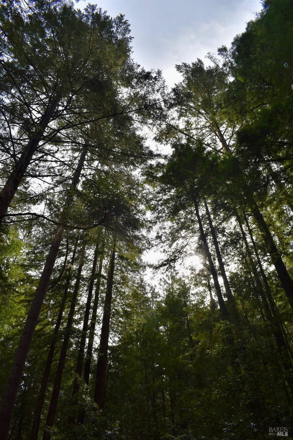 0 Old Monte Rio Road