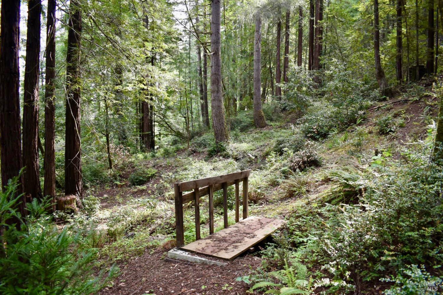 0 Old Monte Rio Road