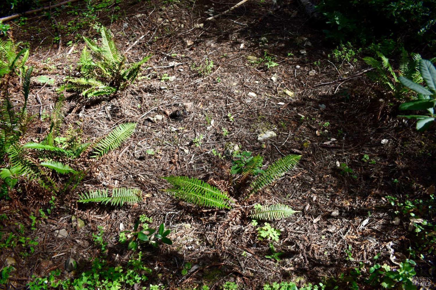 0 Old Monte Rio Road