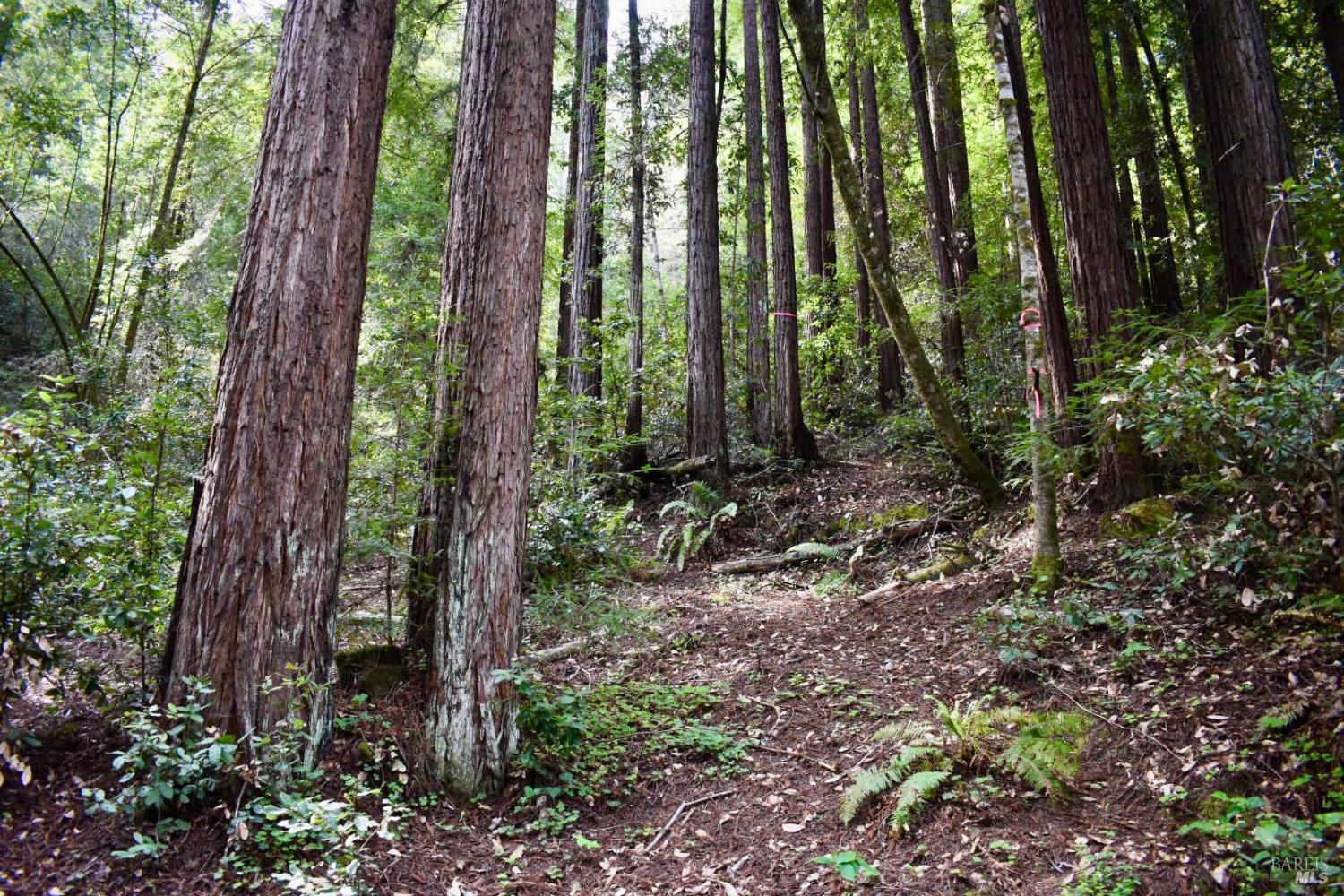 0 Old Monte Rio Road