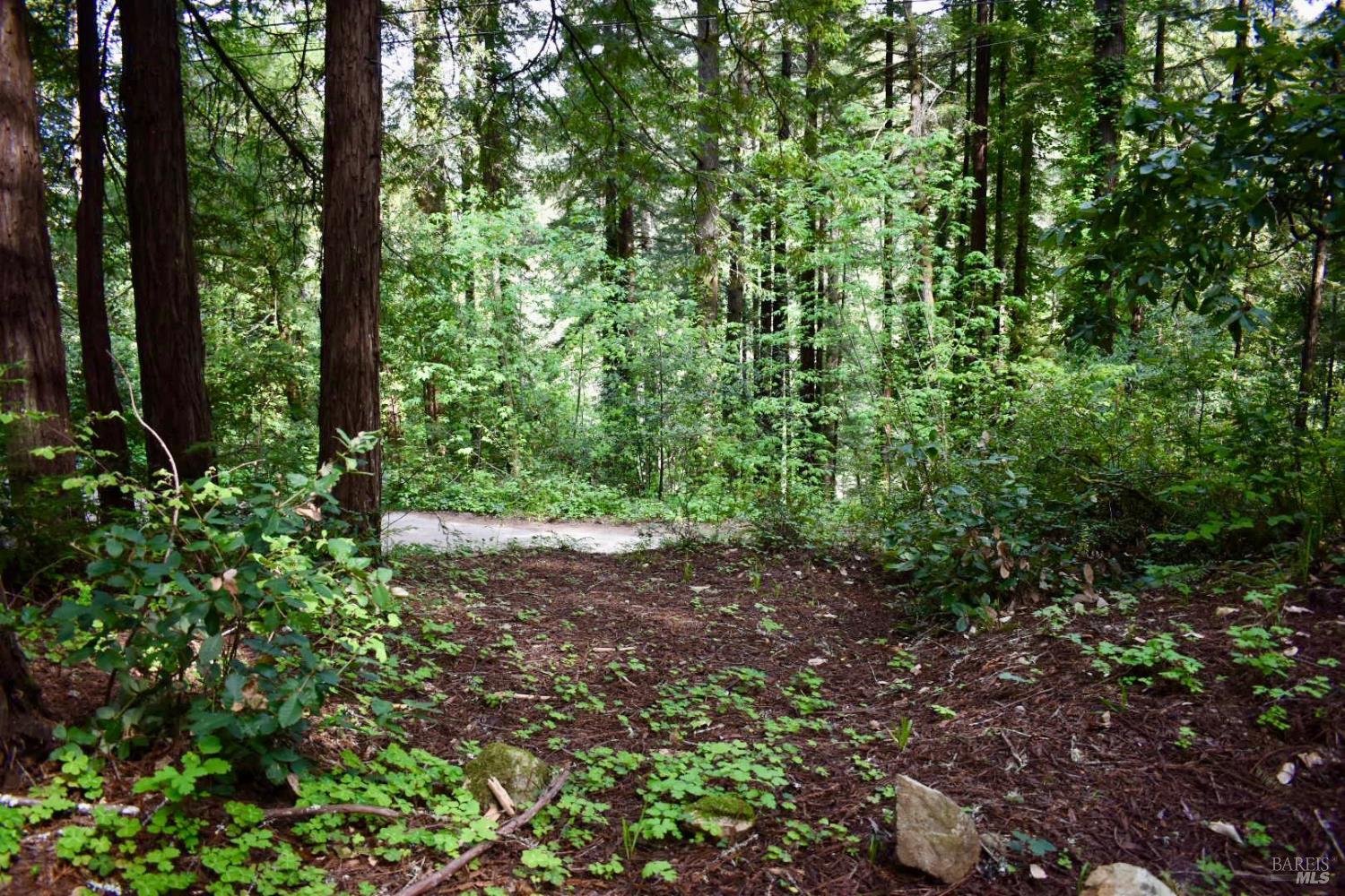 0 Old Monte Rio Road