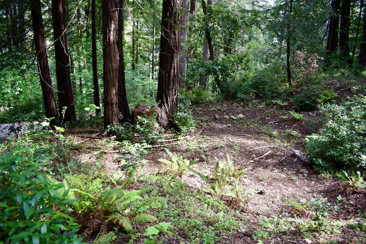 0 Old Monte Rio Road