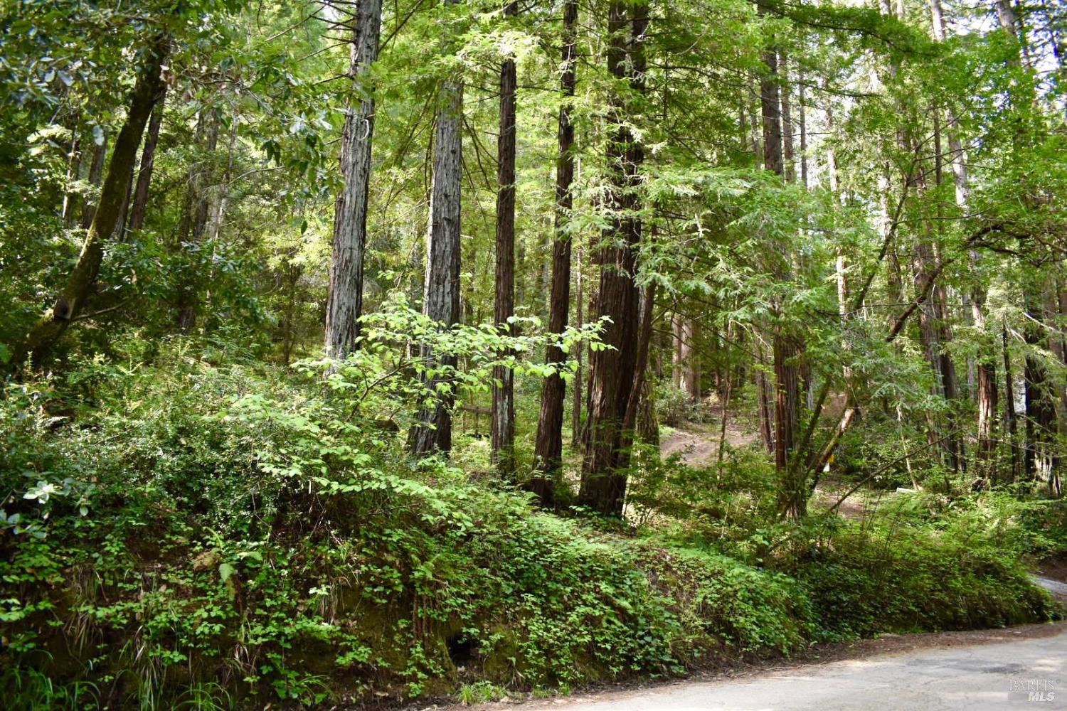 0 Old Monte Rio Road