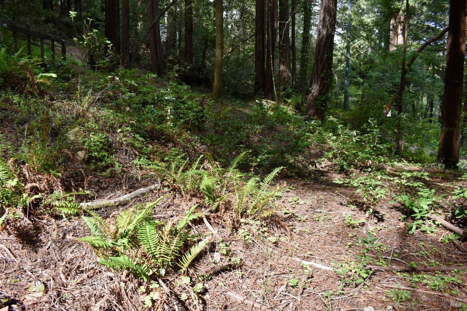 0 Old Monte Rio Road