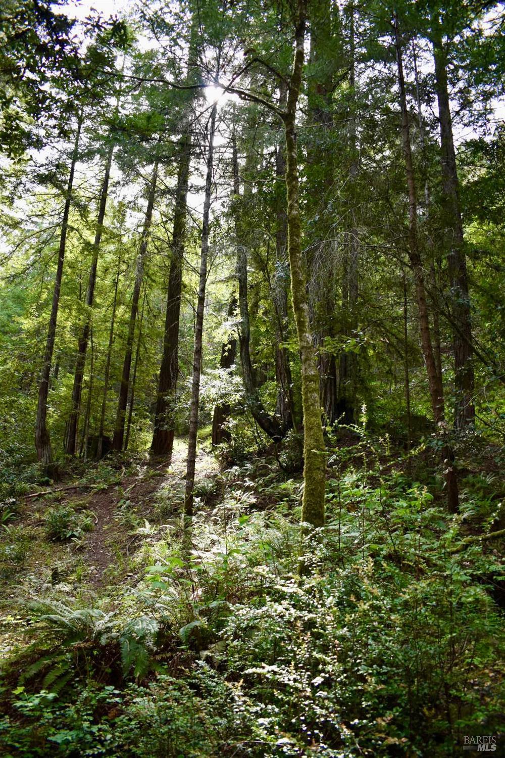 0 Old Monte Rio Road