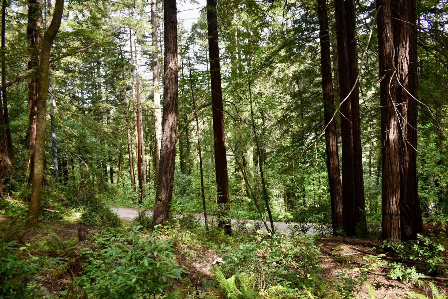 0 Old Monte Rio Road