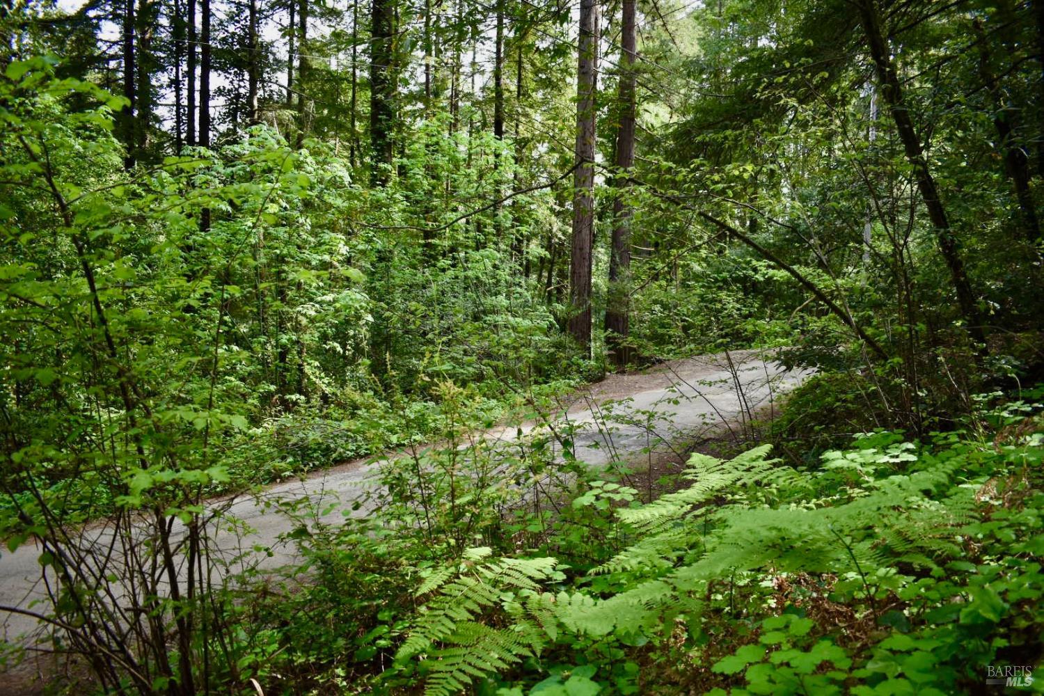 0 Old Monte Rio Road