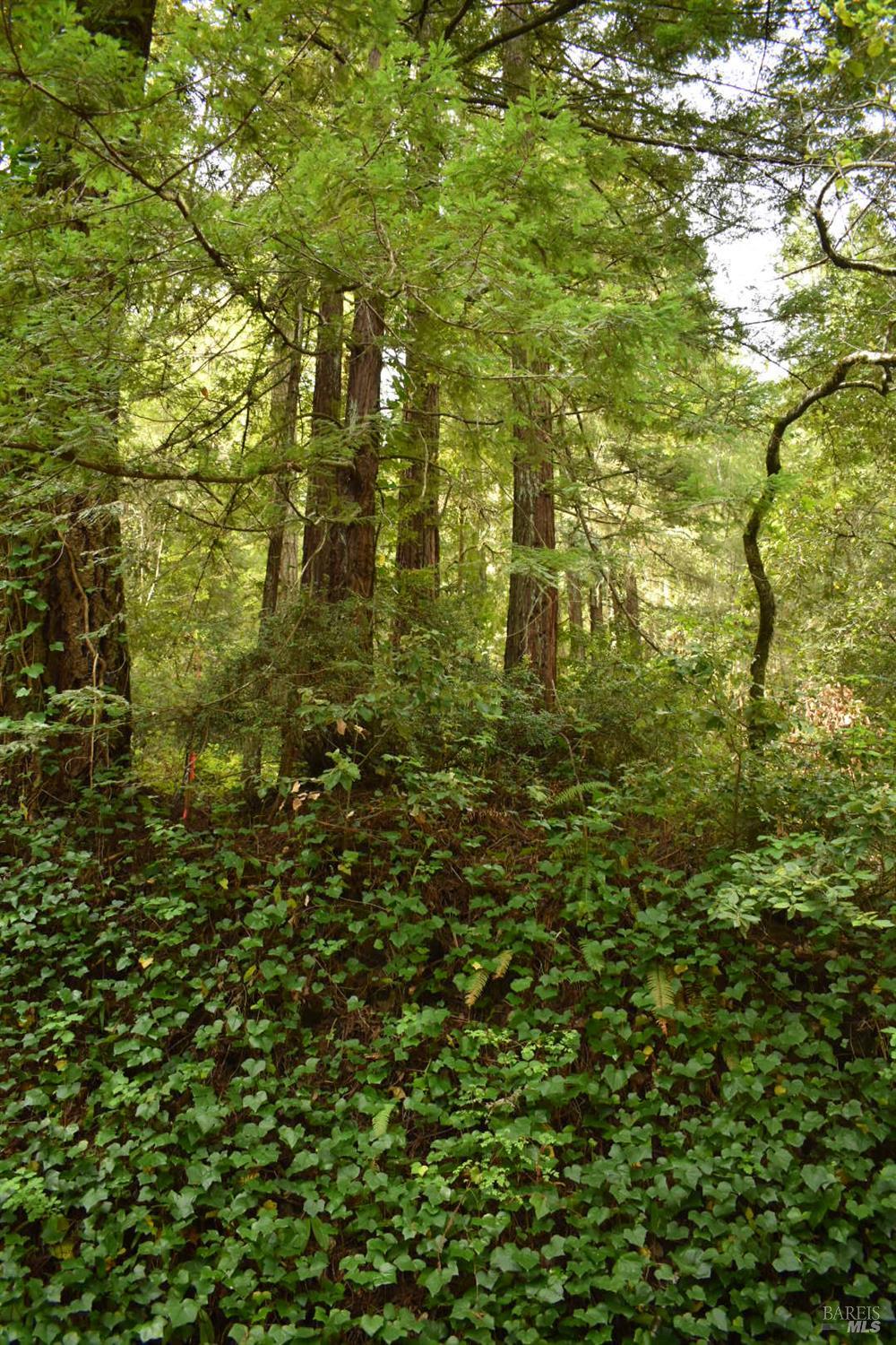 0 Old Monte Rio Road