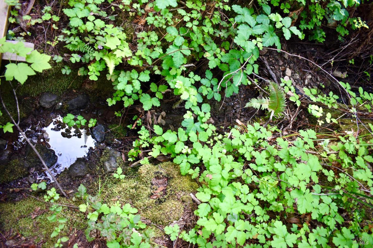 0 Old Monte Rio Road