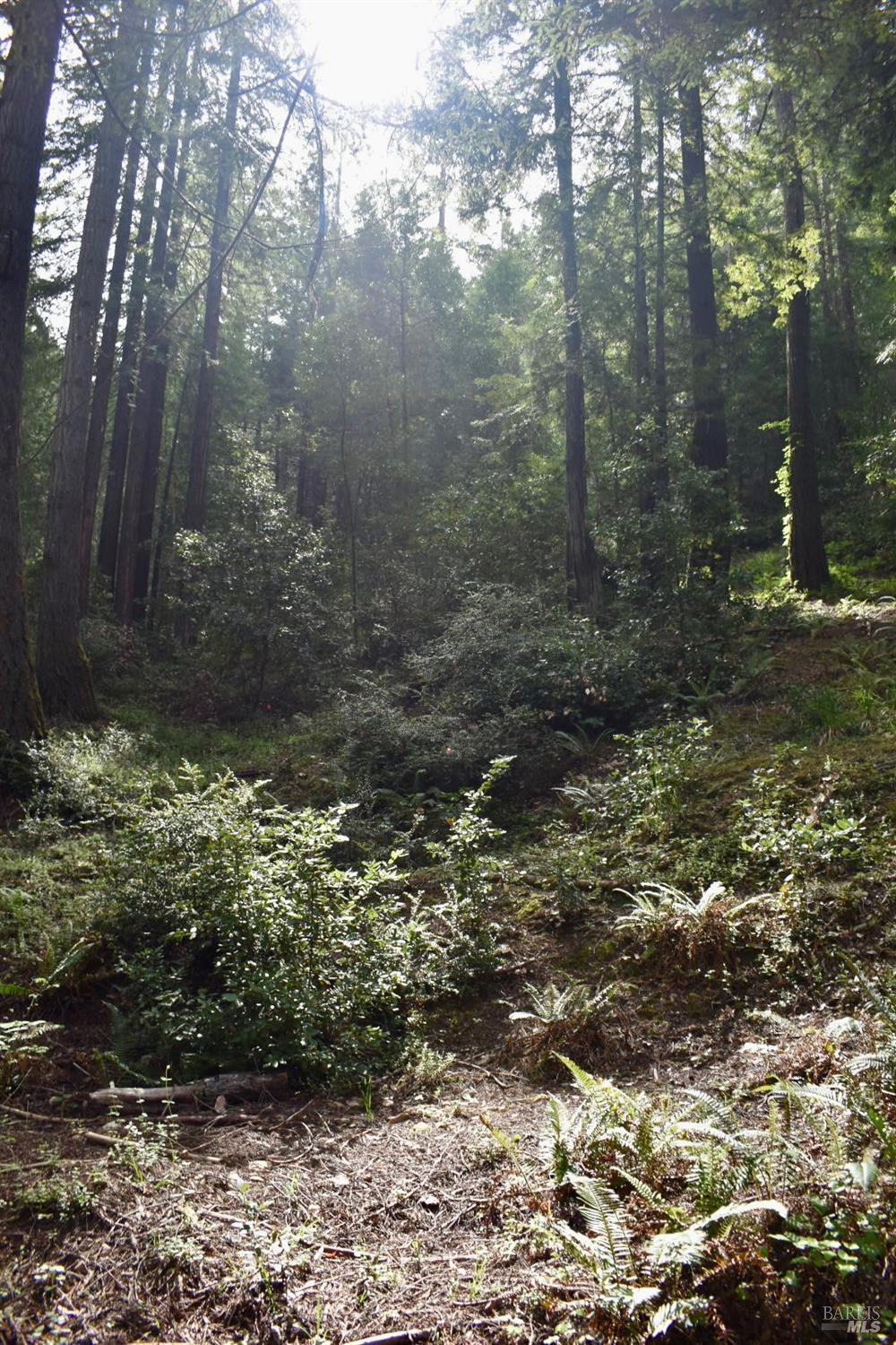 0 Old Monte Rio Road