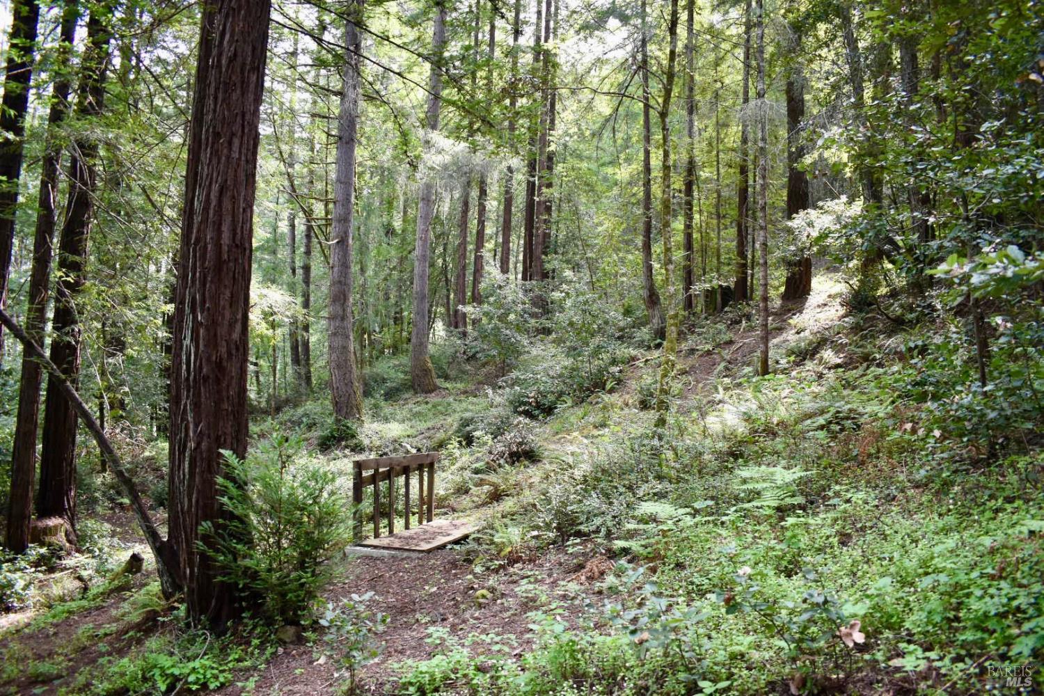 0 Old Monte Rio Road