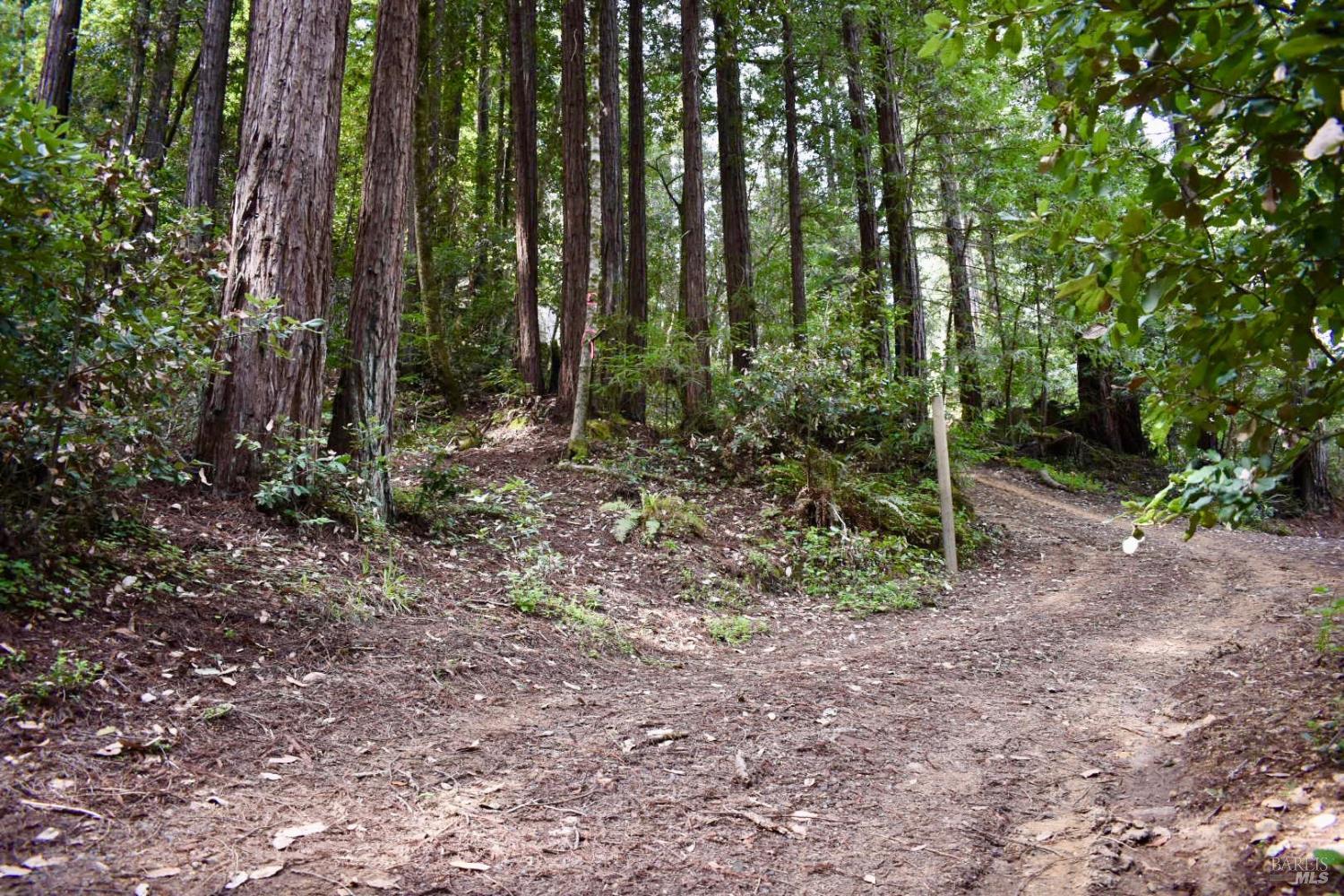 0 Old Monte Rio Road