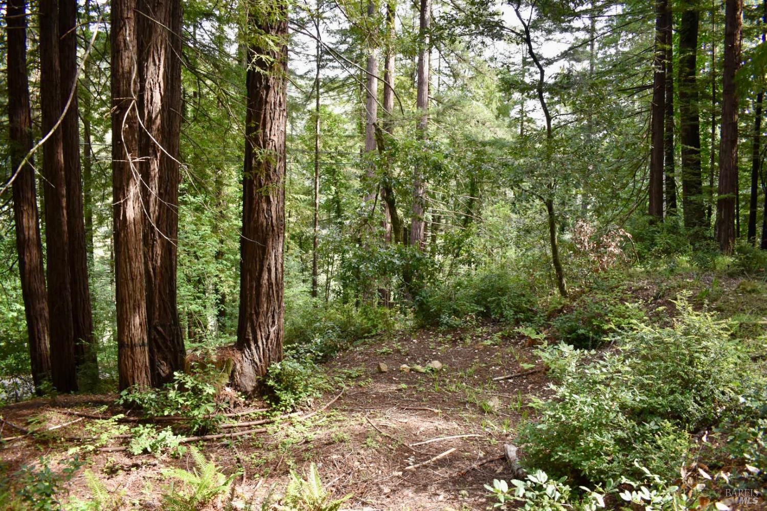 0 Old Monte Rio Road