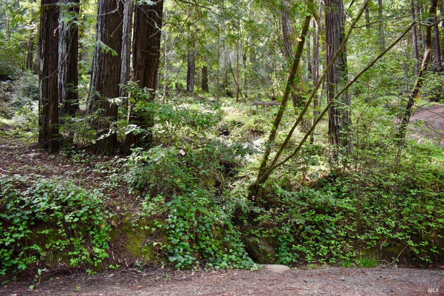 0 Old Monte Rio Road