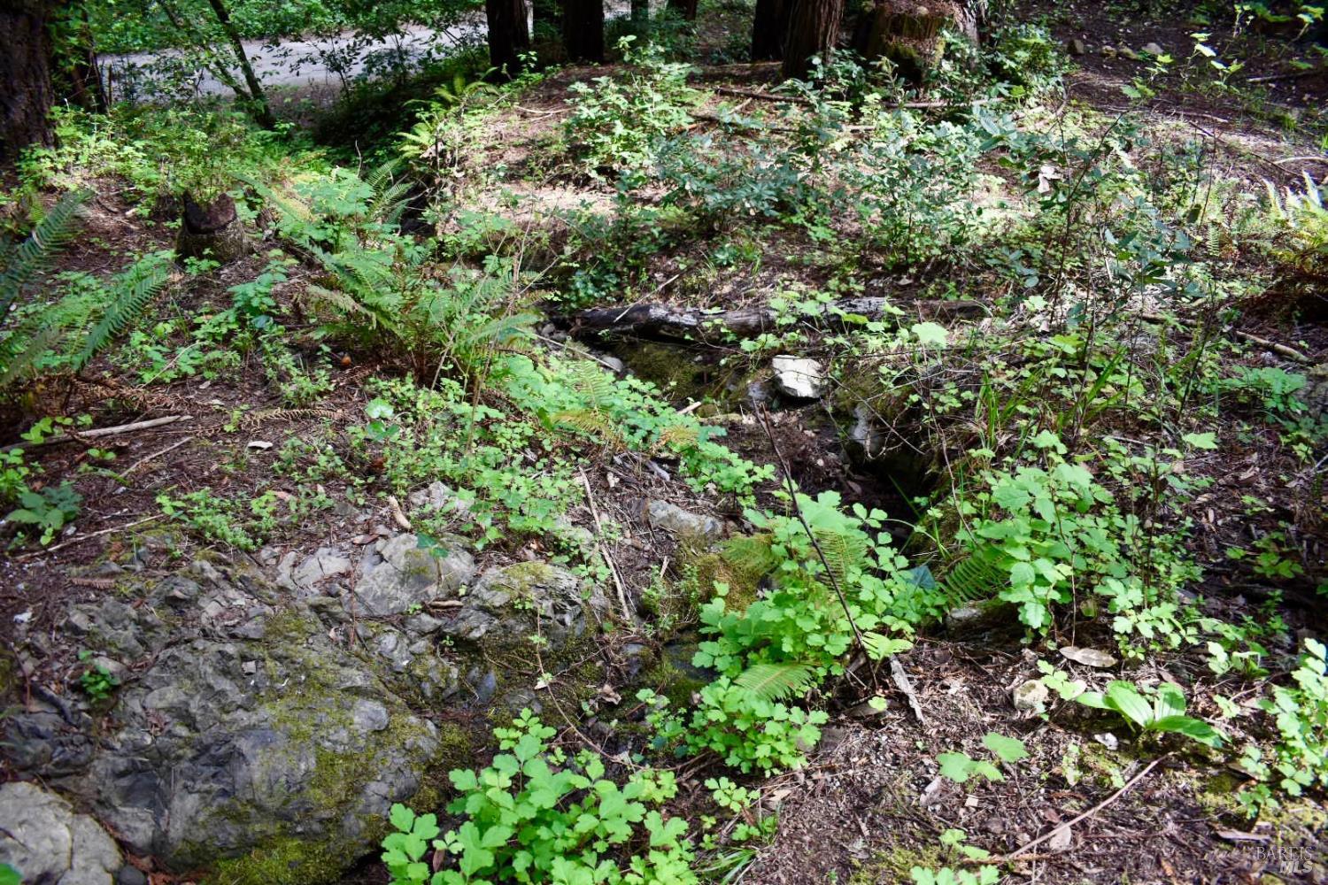 0 Old Monte Rio Road